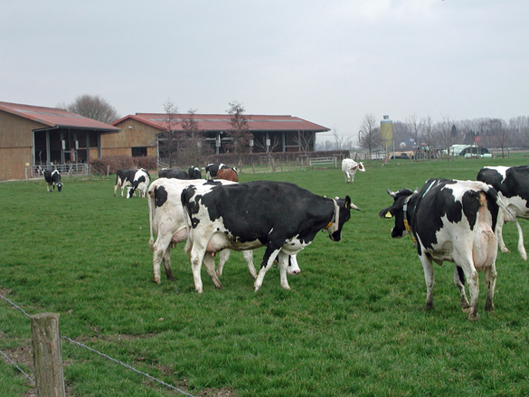 Okolandbau Nrw Versuchsbetriebe