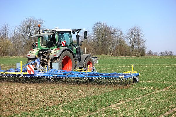 Ökolandbau NRW: Ökogetreide - Hacken Oder Striegeln?