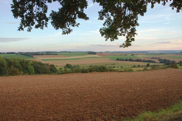 Landschaft mit Feldern